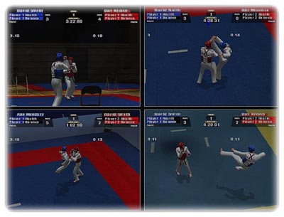www.blikstad.com/gg/tkdgame.jpg